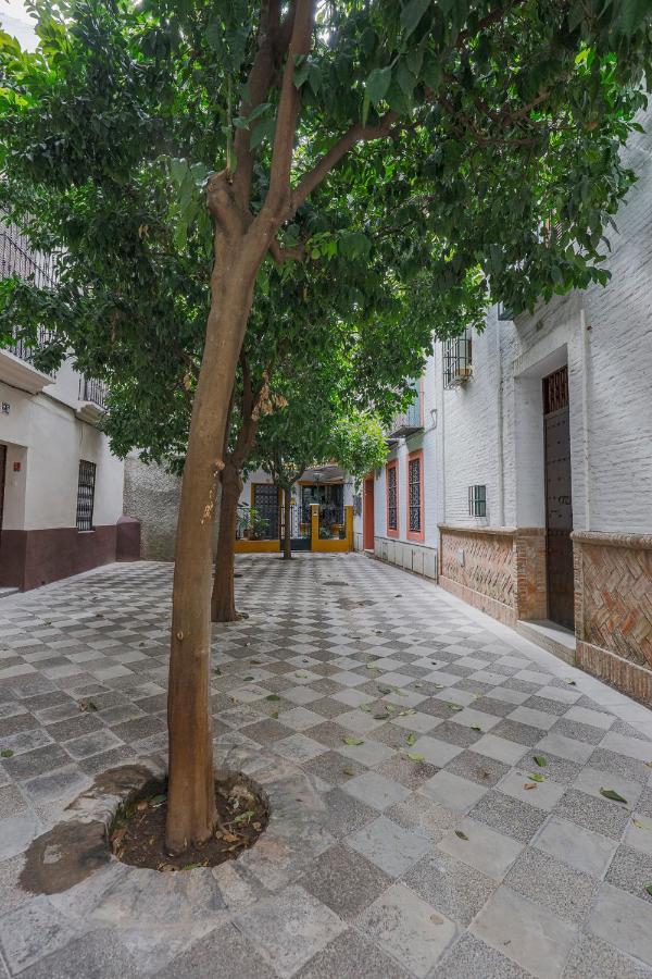 Historic In Santa Cruz Appartement