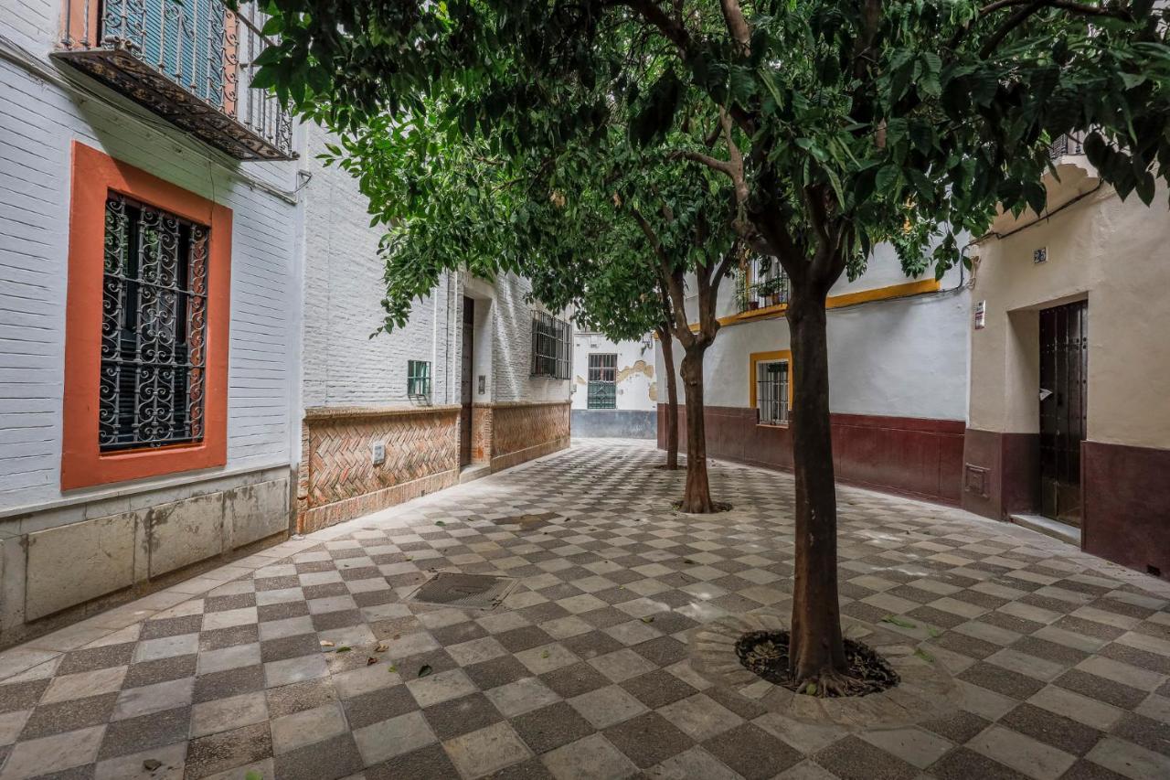 Appartement Historic In Santa Cruz *